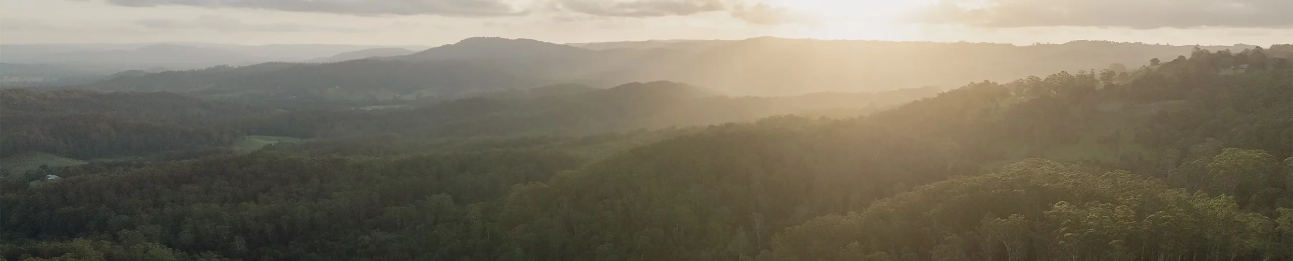 Maleny Grove Landscape