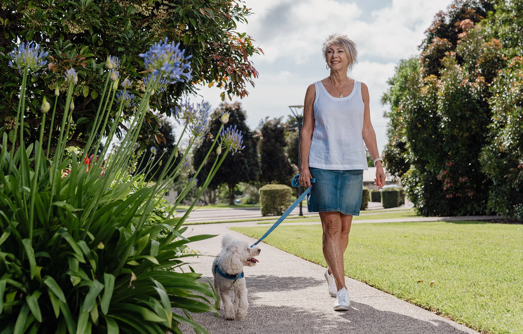 Lifestyle Dog Walking